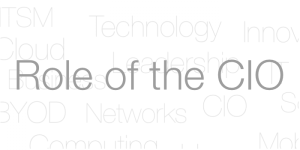 Role of the CIO