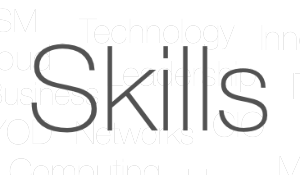 IT Skills