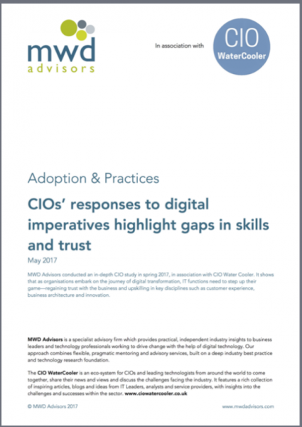 CIO Survey